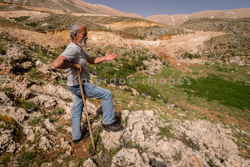 Al Arz;Iris;Iris Cedreti;Kaleidos;Kaleidos images;Lebanon;Middle East;Near East;Tarek Charara;Youssef Tawk;Flowers;Endemic;Endemic species;Critically endangered;Critically endangered species